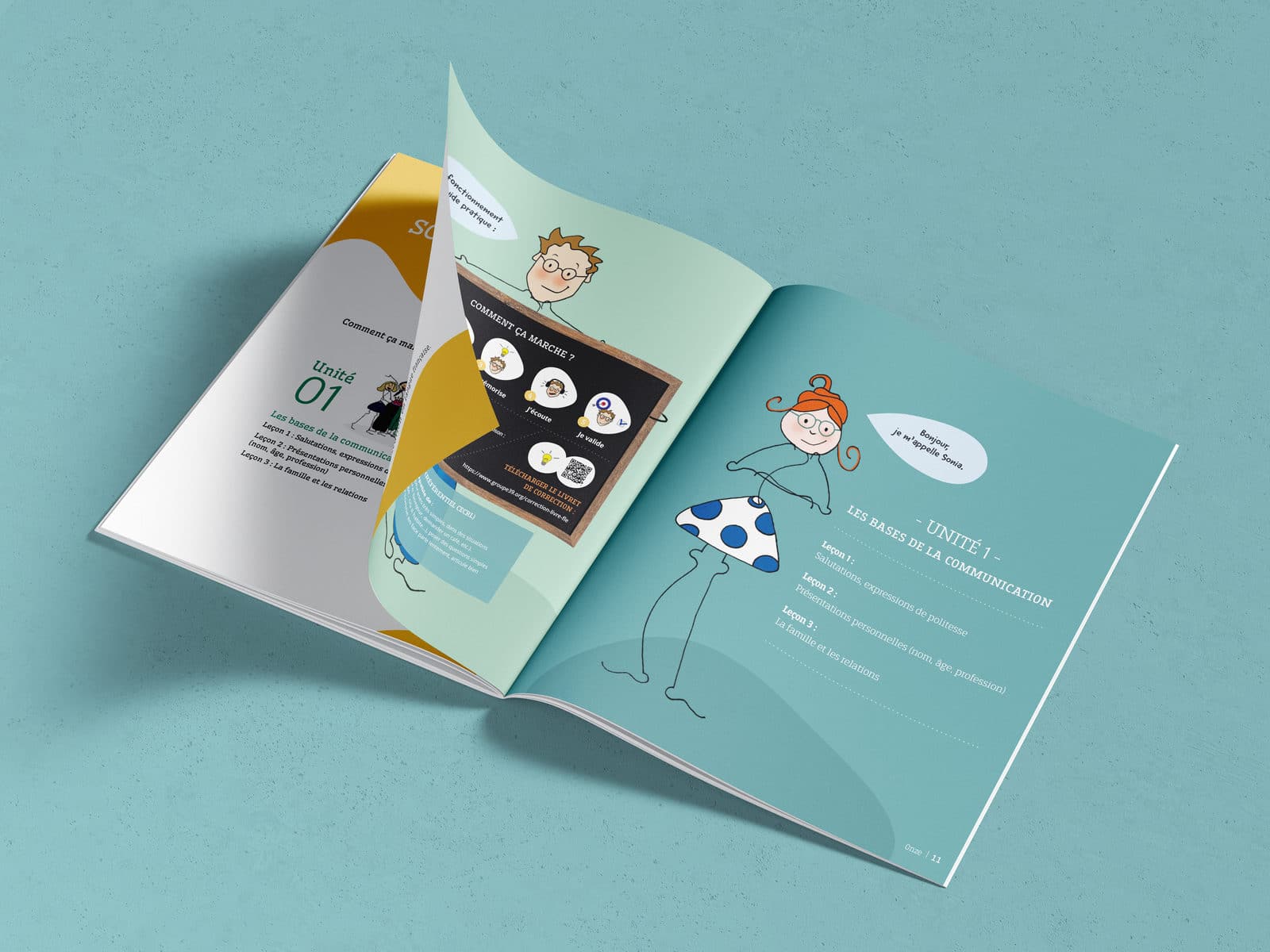 Guide pratique français livre FLE