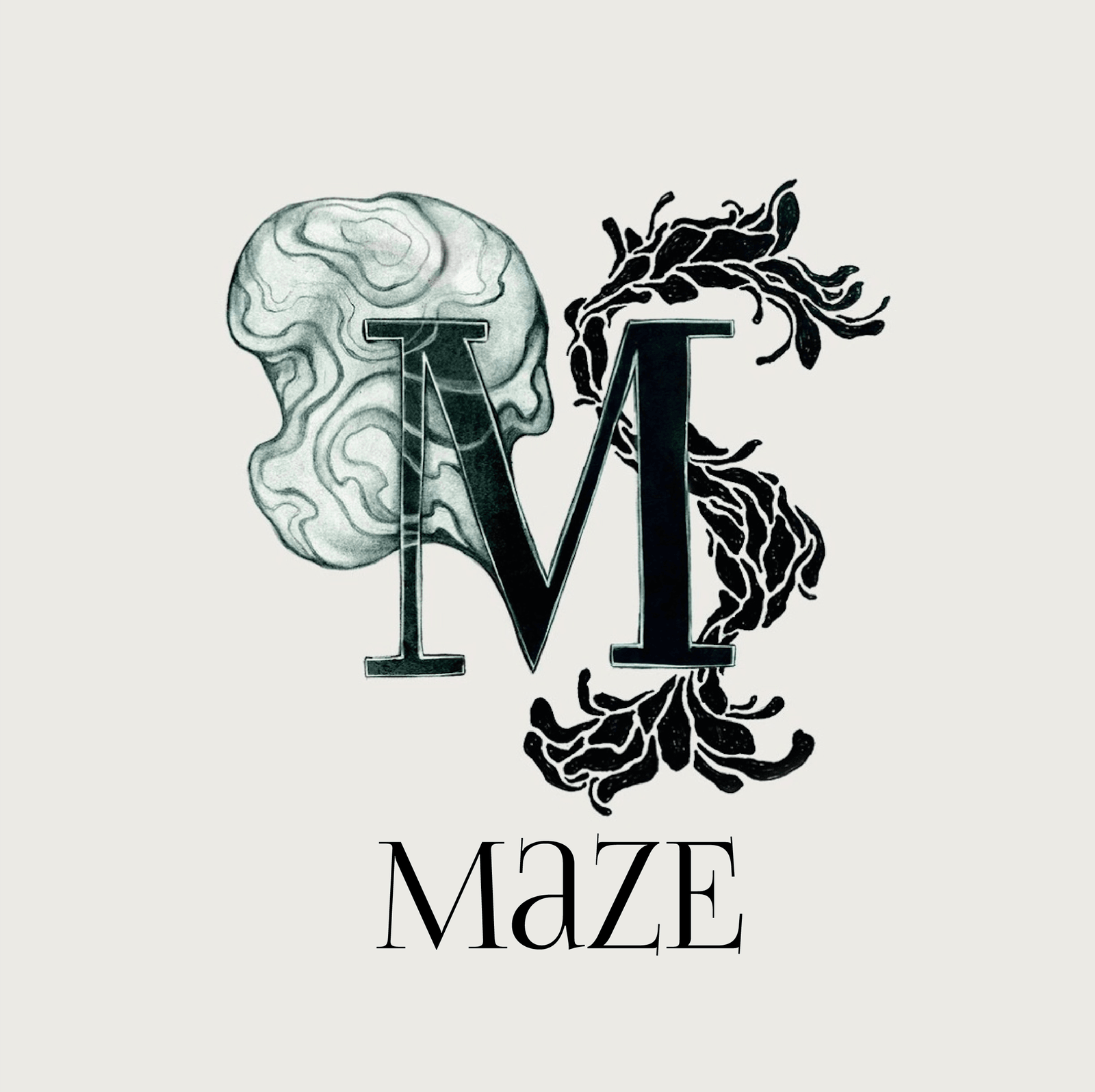 partenaire-assofac-emploi-maze