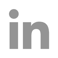 Gris LinkedIn Icône